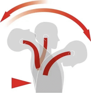 Understanding Whiplash and the Powerful Role of Physiotherapy in Recovery South Simcoe Physiotherapy Alliston Tottenham